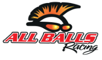 Immagine per la categoria ALL BALLS Immagine per la categoria ALL BALLS