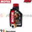 Visualizza i dettagli per KIT TAGLIANDO OLIO + FILTRO MOTUL 7100 10W40 1L HM MOTO 290 CRM-F X I.E. 4T DAL 2007 AL 2008 Immagine di KIT TAGLIANDO OLIO + FILTRO MOTUL 7100 10W40 1L HM MOTO 290 CRM-F X I.E. 4T DAL 2007 AL 2008