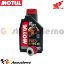 Visualizza i dettagli per KIT TAGLIANDO OLIO + FILTRO MOTUL 7100 10W40 1L HONDA MSX 125 GROM DAL 2021 AL 2023 Immagine di KIT TAGLIANDO OLIO + FILTRO MOTUL 7100 10W40 1L HONDA MSX 125 GROM DAL 2021 AL 2023