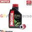 Visualizza i dettagli per KIT TAGLIANDO OLIO + FILTRO MOTUL 5000 10W40 1 LITRO BETAMOTOR 300 EVO FACTORY 4T DAL 2016 AL 2020 Immagine di KIT TAGLIANDO OLIO + FILTRO MOTUL 5000 10W40 1 LITRO BETAMOTOR 300 EVO FACTORY 4T DAL 2016 AL 2020